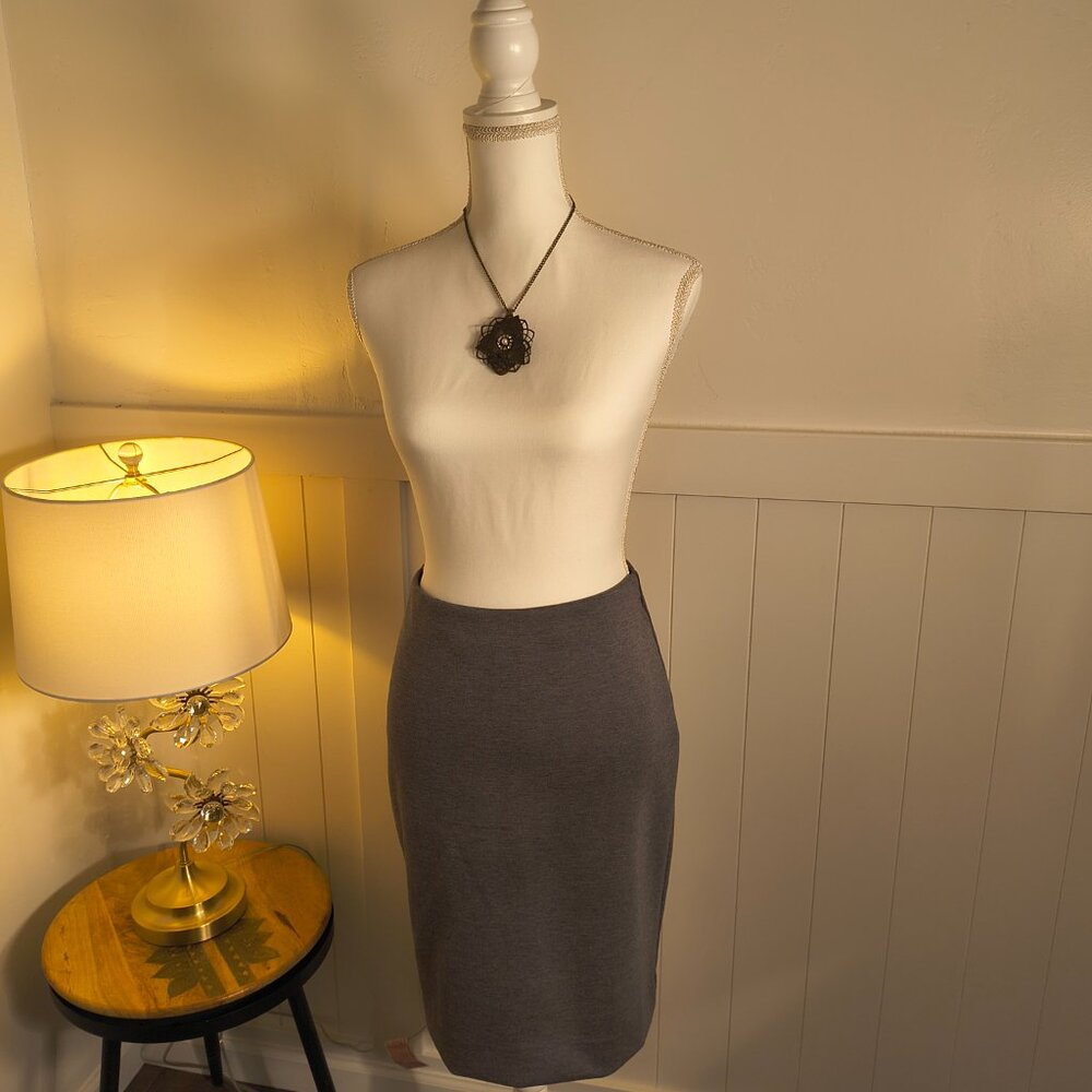 Banana Republic Grey Stretch Skirt – Small